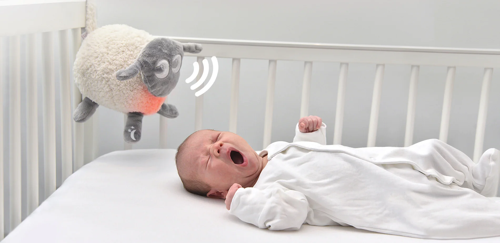 Sleep Safely, Dream Sweetly